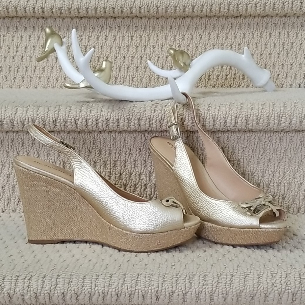 Antonio Melani platforms/wedges gold leather upper Size 9.5